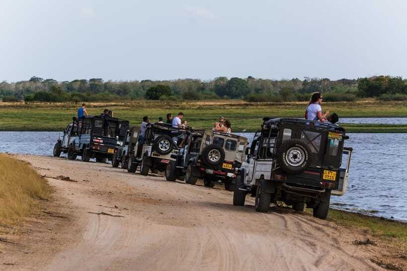 Elephant Jeep Safari at Minneriya National Park - Price and Value: Is $35 a Good Deal Here?