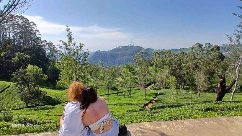 Ella: 9 Arches Bridge, Little Adam's Peak, Tea Factory - Guide quality and English level: where your experience can swing