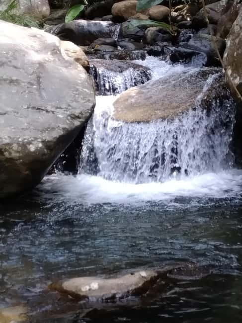 Ella: Cinnamon, Spice Garden & Waterfall tour - Cinnamon Garden: What You’ll See (and Where It Can Feel Too Brief)