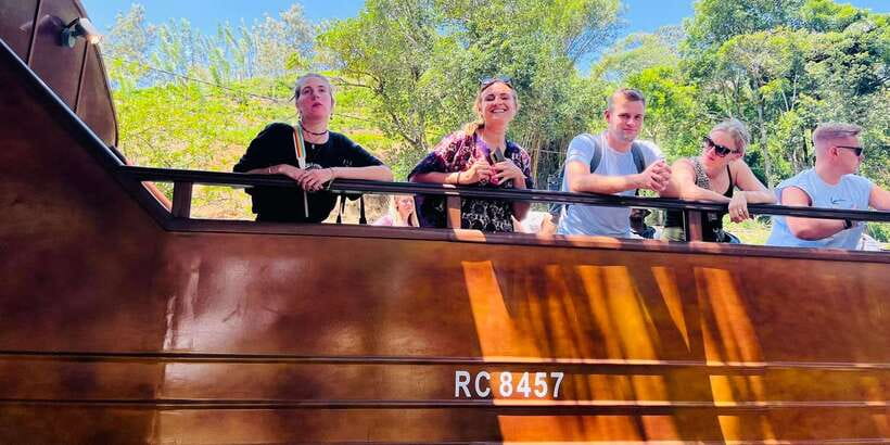 Ella City Tour: Cover 10+ Places within a Single Day. - Tea Factory Visit: What You’ll Actually Learn (and When It Might Be Limited)