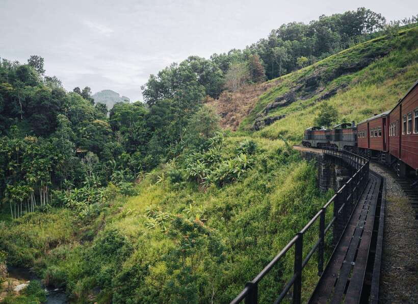 Ella Day Tour: with Tea Factory Visit from Colombo/Bentota - Key things to know before you go