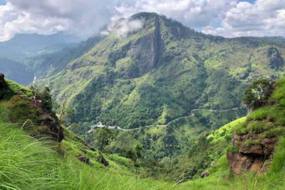 Ella Day Tour: with Tea Factory Visit from Colombo/Bentota - Pedro Tea Factory in Nanu Oya: why the tea tasting is the star