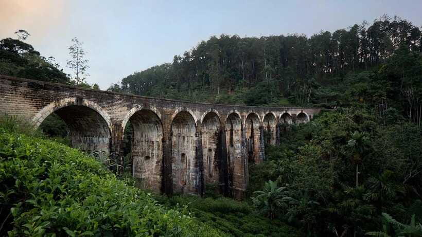 Ella Day Tour: with Tea Factory Visit from Colombo/Bentota - Price and value: is $159 per person a smart deal?