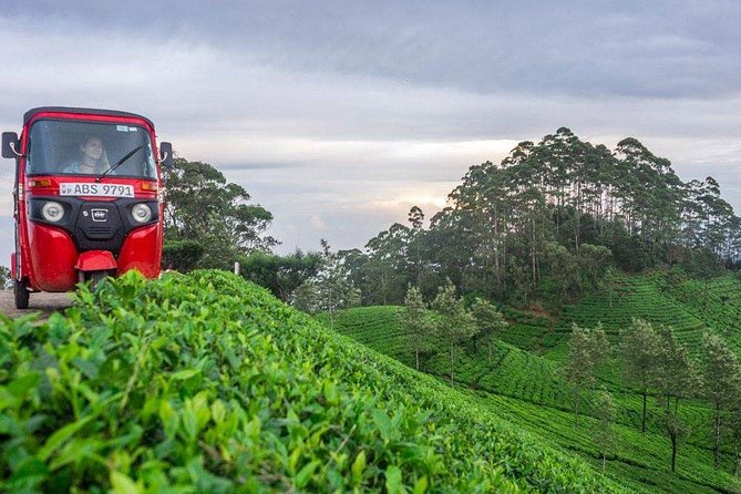 Ella Day Trip from Mirissa, Weligama, Galle, Hikkaduwa - Ravana Ella Falls: why 30 minutes can feel short