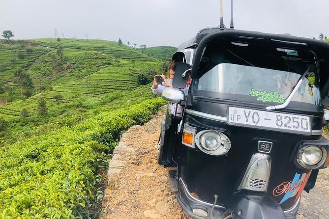 Ella Day Trip from Mirissa, Weligama, Galle, Hikkaduwa - Tea plantations and tea tastings: how to customize without over-plotting