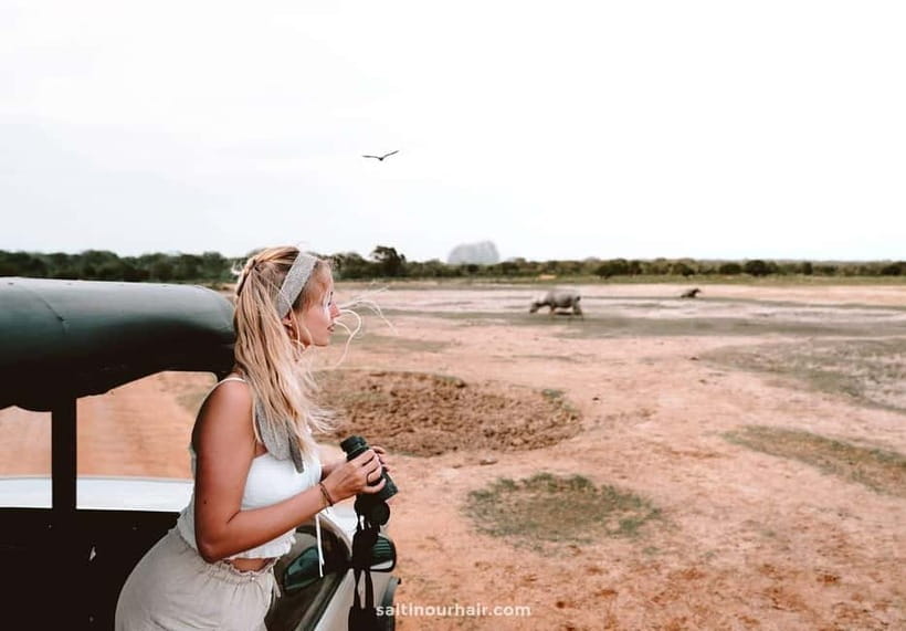 Ella: Drop to Tangalle/Mirissa/Galle & Udawalawa Safari Tour - Timing Tips: Make the Day Work for Your South-Coast Plans