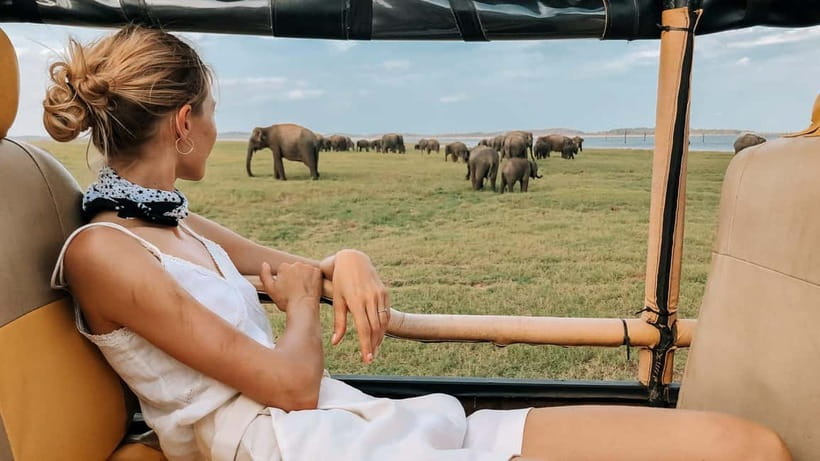 Ella: Drop to Tangalle/Mirissa/Galle & Udawalawa Safari Tour - Who This Tour Fits Best