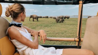Ella: Drop to Yala/Tangalle/Mirissa/Galle & Yala Tour - Timing and the early-start tradeoff