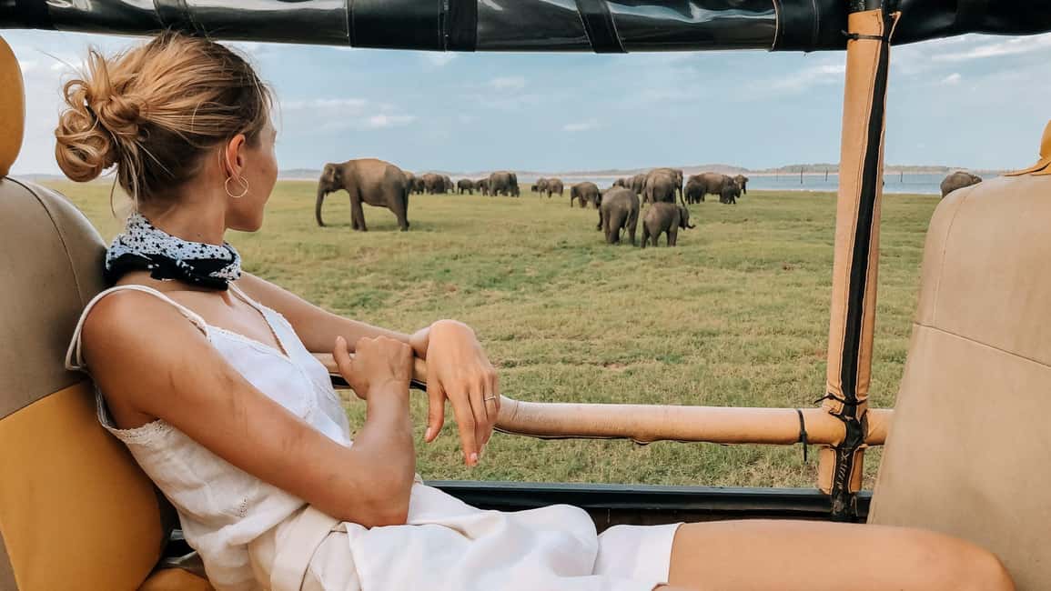 Ella: Drop to Yala/Tangalle/Mirissa/Galle & Yala Tour - Timing and the early-start tradeoff