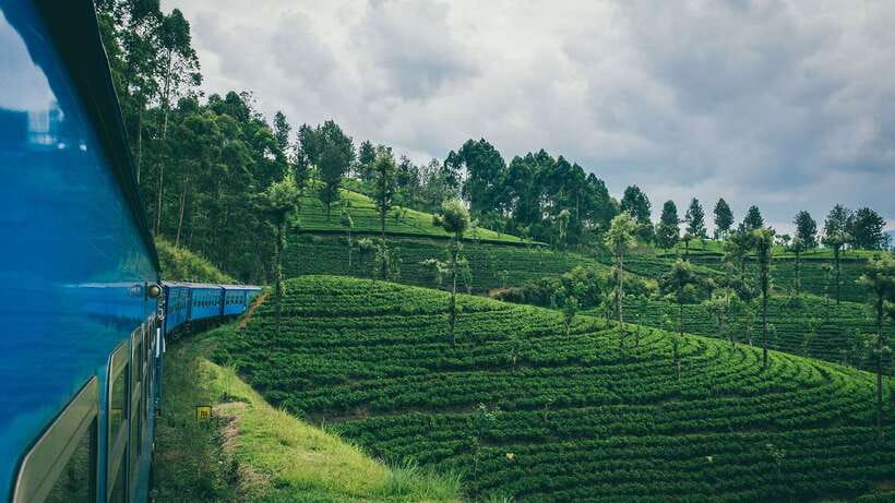 Ella: First Class Scenic Train Ticket To/From Nanuoya - The 5-hour reality: planning around the scenery