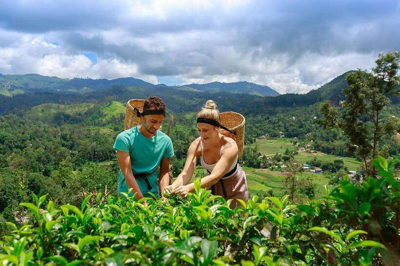 Ella: Little Adam's Peak, 9 Arch Bridge, Ravana Falls Tour - Price and Time: Is $29 a Good Deal?