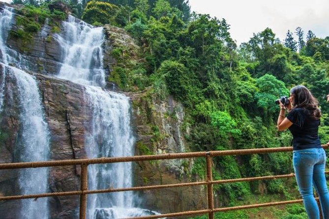Ella Private Day Tour From Kandy - Little Adam’s Peak: A Tea-Plantation Hike With Big Views