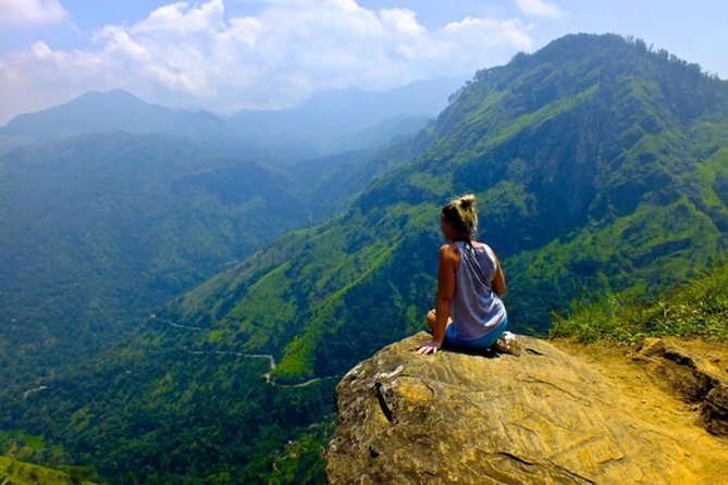 Ella Private Day Tour From Kandy - Damro Labookellie Tea Centre and Tea Garden: What “Tea Country” Really Means