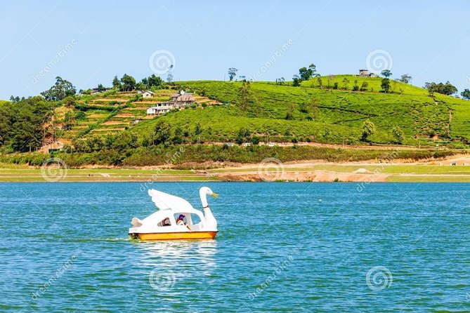 Ella Private Day Tour From Kandy - Price and Logistics: Is $95 Per Person Fair Value?
