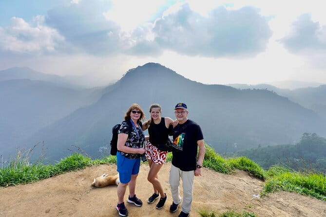 Ella Private Day Tour with Train Ride and Visit to Nine Arch - The Demodara to Bandarawela train ride: the scenic payoff