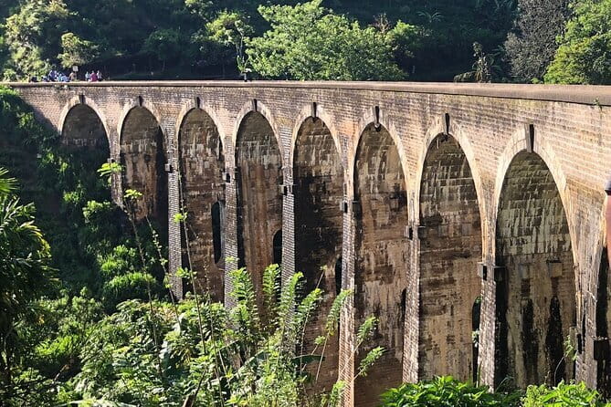 Ella Private Day Tour with Train Ride and Visit to Nine Arch - Price and value: what $145 covers (and what might cost extra)