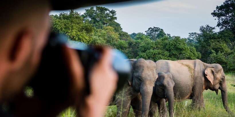 Ella: Shuttle to Mirissa/Galle/Hikkaduwa & Udawalawa Safari - Practical Tips Before You Go (So You Don’t Lose Time)