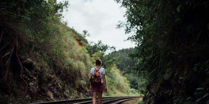 Ella: Tea Factory, Train, and Nine Arch Day Tour with Pickup - Key things that make this tour worth your time