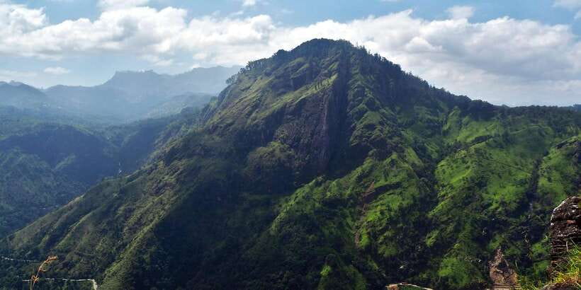 Ella: Tea Factory, Train, and Nine Arch Day Tour with Pickup - Ella in 16 Hours Feels Like a Sri Lanka Greatest Hits