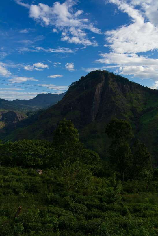 Ella: The Pekoe Trail Stage 16 - Ella to Demodara - Key highlights worth planning for