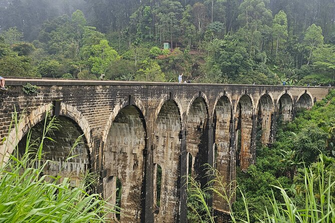 Ella Train Trip & Udawalawa Private Day Tour Bentota/Kosgoda - Key highlights to know before you go
