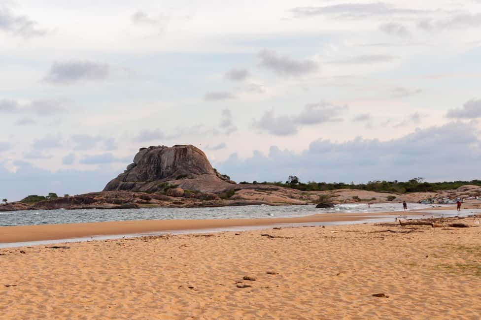 Ella: Transfer to Tangalle/Mirissa/Galle & Yala Safari Tour - Photo game in Yala: how to get shots without stressing