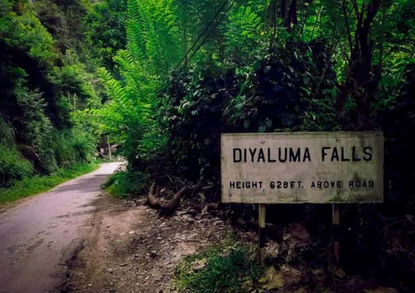 Ella: Tuk Tuk Tour to Diyaluma and Secret Waterfalls - Key moments that make this Ella day tour worth it