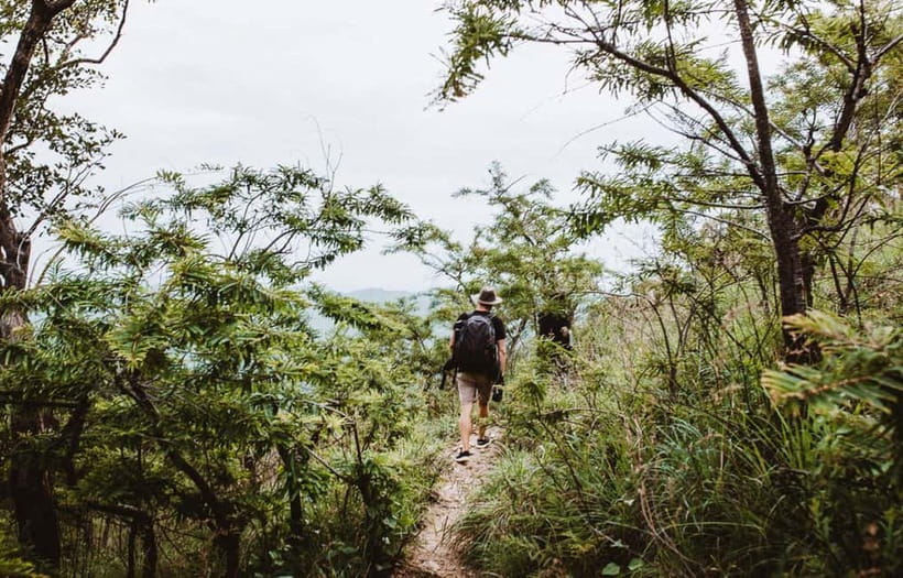 Ella: Tuk Tuk Tour to Diyaluma and Secret Waterfalls - Why this Ella tuk-tuk day tour hits the right notes