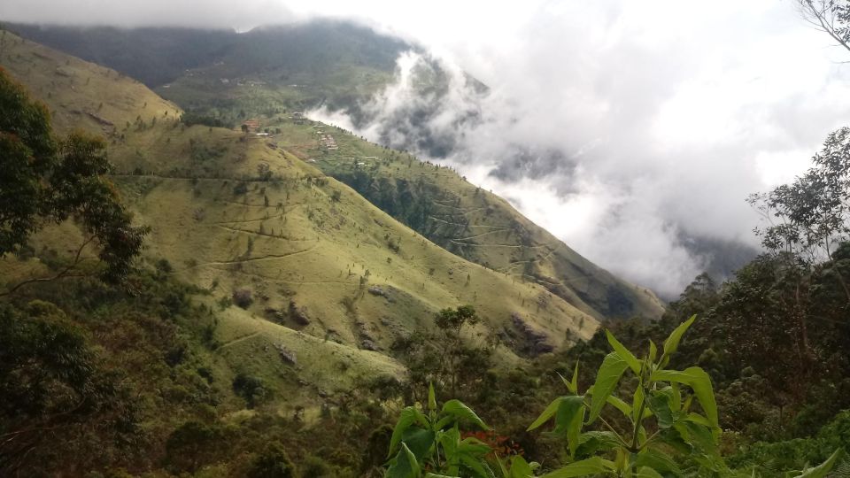 Ella: Waterfall Hike with Bambarakanda and Lanka Falls - Should You Book Waterfall Hunting with Ella Holidays?