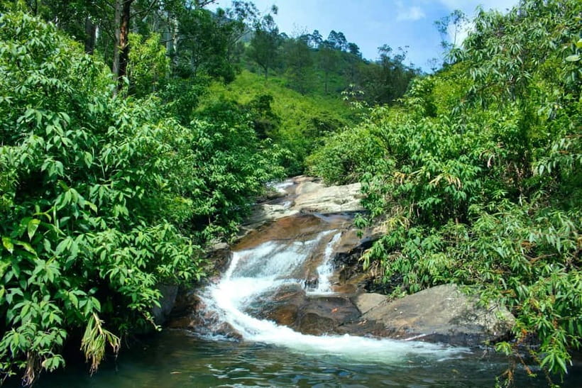 Ella: Waterfall Hike with Bambarakanda and Lanka Falls - Guiding Style Matters: Dinuka’s Flora, Fauna, and Village Connections