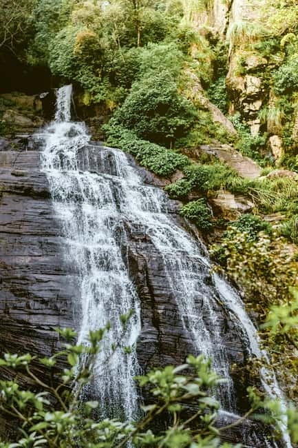 Ella: Waterfall Hike with Bambarakanda and Lanka Falls - What’s Included (and Why It’s Better Value at $60)
