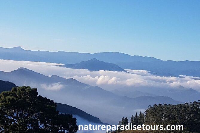 Exclusive knuckles Camping Tour from kandy - Key highlights
