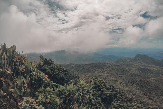 Exclusive knuckles Camping Tour from kandy - Day 2: tea plantations, cloud forest, waterfall crossings, and a swim