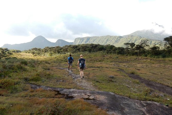 Exclusive knuckles Camping Tour from kandy - Day 1 from Kandy: tea trails, silent forest, and a plateau view