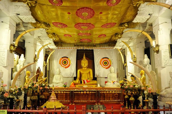 Exclusive : Last Kingdom Private Day Tour in Kandy - Value and price: does $105 buy a good day?