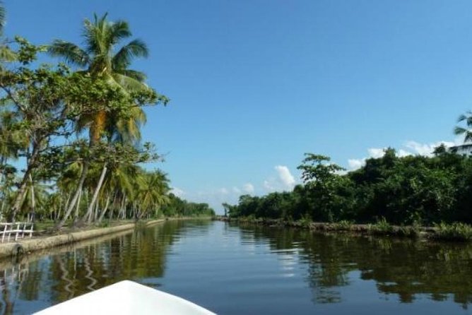 Exclusive: Muthurajawela Bird Watching Tour with Transfers - Key Highlights You’ll Actually Care About