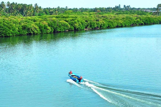 Exclusive: Muthurajawela Bird Watching Tour with Transfers - Comfort Tips: The Small Things That Make It Better