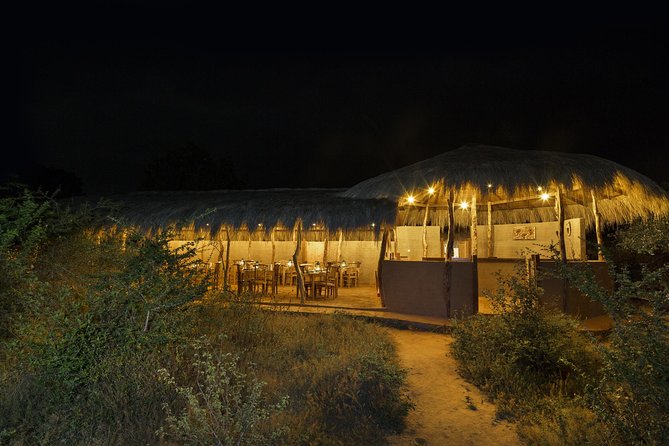 Exclusive : Overnight Leopard Safari with Luxury Glamping - Key points before you go