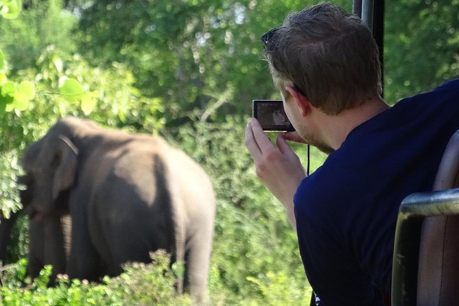 Exclusive : Overnight Leopard Safari with Luxury Glamping - Sleeping at Leopard Nest: Luxury Tent Reality Check
