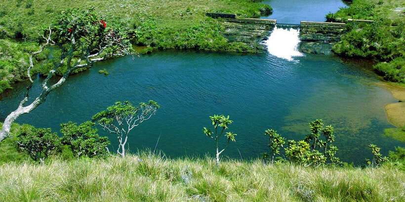 Exclusive: Private Horton Plains, Tea Plucking tour & Lunch - Horton Plains at 6:00 AM: Why This Hike Feels Like a Real Highland Day