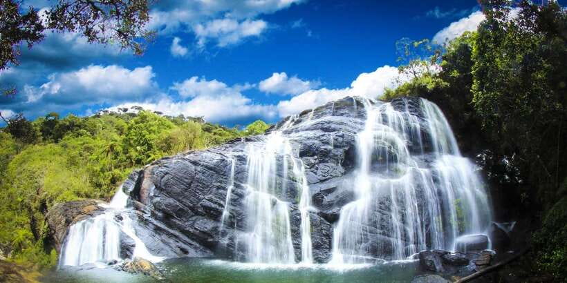 Exclusive: Private Horton Plains, Tea Plucking tour & Lunch - Price and Value: What You’re Paying For at $90 Per Person