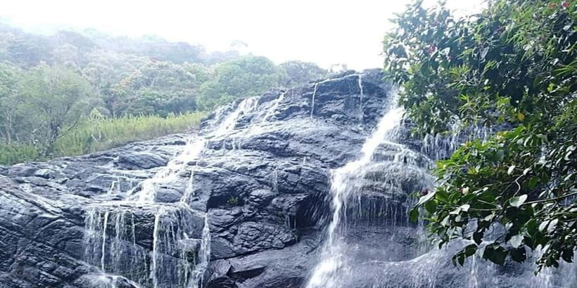 Exclusive: Private Horton Plains, Tea Plucking tour & Lunch - FAQ