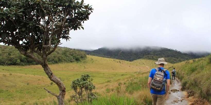 Exclusive: Private Horton Plains, Tea Plucking tour & Lunch - Wildlife Spotting Without the Guesswork