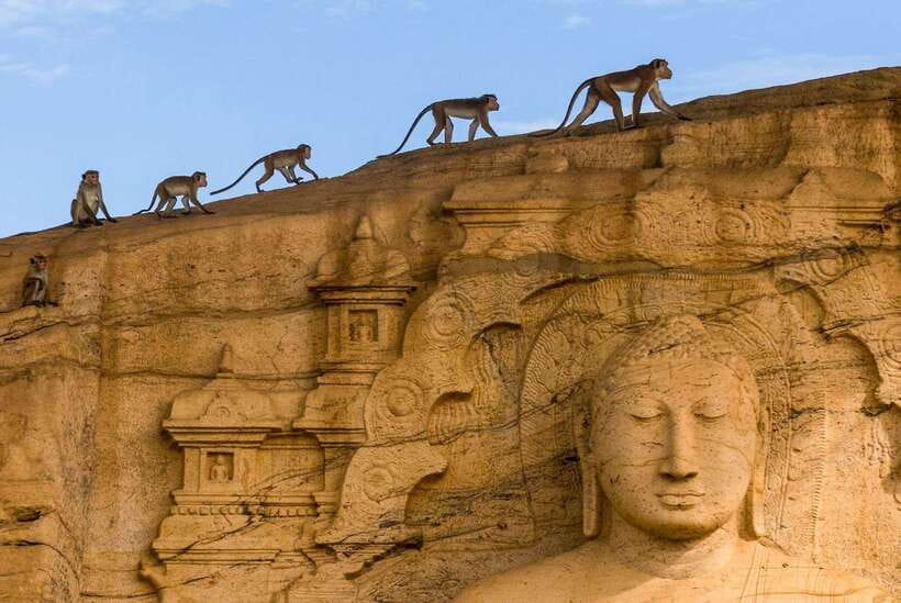 Exclusive: Sigiriya Fortress & Polonnaruwa Guided Tour - The Local Lunch Break That Keeps Your Day Enjoyable