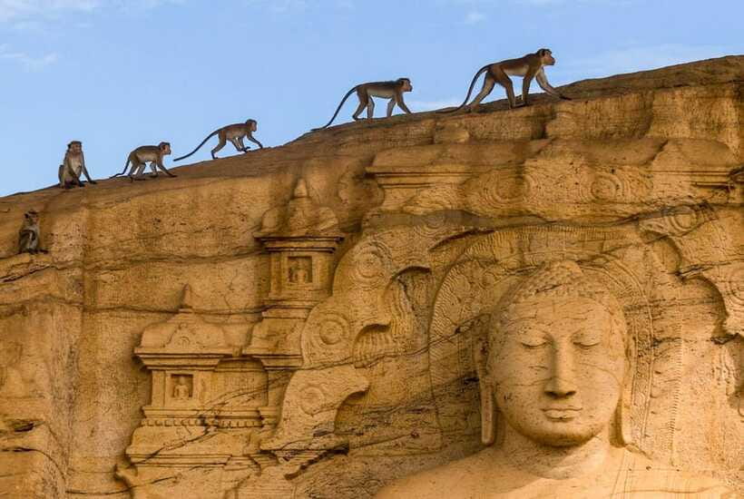 Exclusive: Sigiriya Fortress & Polonnaruwa Guided Tour - Timing Tips: How to Make a 10-Hour Day Feel Less Grueling
