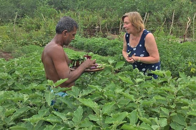 Exclusive: Southern Sri Lanka Sightseeing Private Day Trip - Lunch near the Madu River: included value, but timing can vary