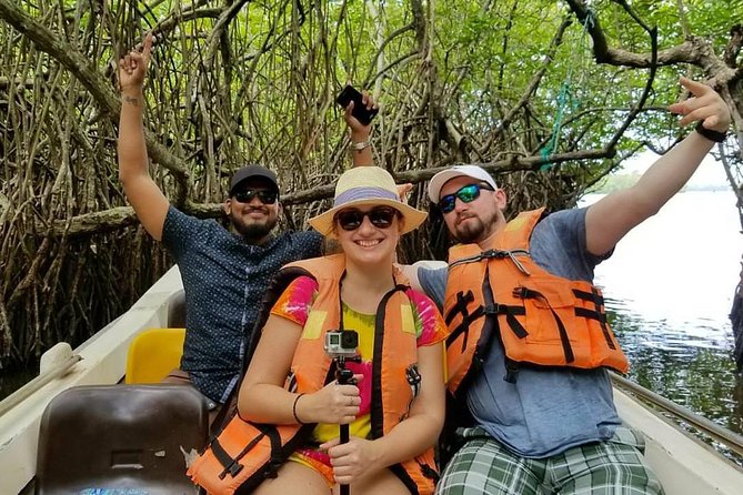 Exclusive: Southern Sri Lanka Sightseeing Private Day Trip - Guides and comfort: what your day will feel like