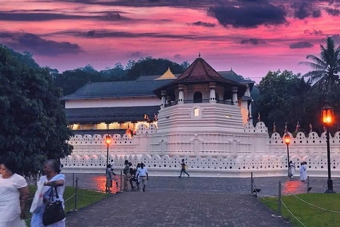 Experience the Beauty and History of Sri Lanka - Day 1: Sigiriya Rock Fortress, Museum, and Lion’s Paws