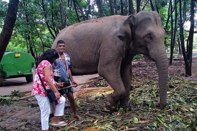 Explore Colombo by Tuk Tuk Morning & evening (Private Tours) - Riding Colombo in a Cabrio tuk tuk: what you gain (and what you give up)