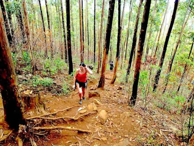 Explore Ella: Rock Hike, Loop, Falls, Nine arch & Train View - Ella Rock summit hike: rail track start, forest trail climb, Ella Gap payoff